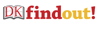 DK Findout logo